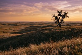 Last light over the prairie